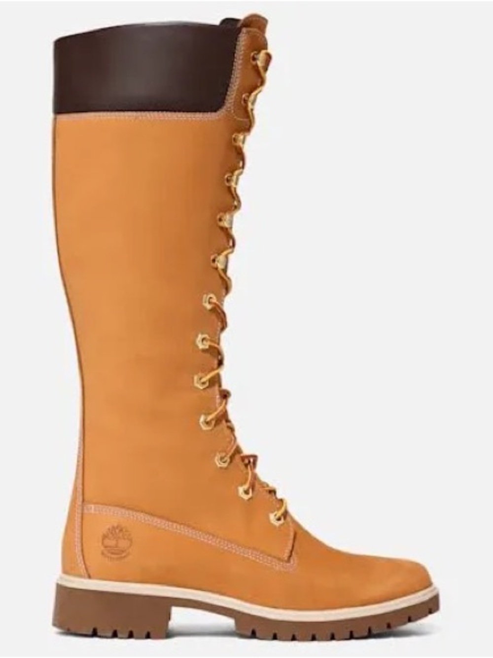 Timberland Women's Tall Lace-Up Boot in Wheat/Brown